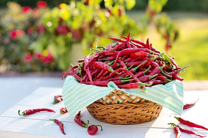 Dragon's Breath Chili